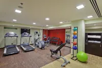 Hampton by Hilton Ordu - Træningscentre
