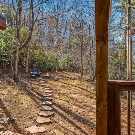 Cozy cabin in awesome Asheville, Hot tub, Fire pit, Dog friendly