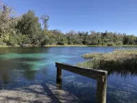 Nature Lover’s Cottage at Penner Pond, Relax or Explore in the Ocala Forest. - 2つ星