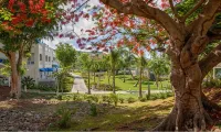 Limetree Beach Resort by Club Wyndham - Beach