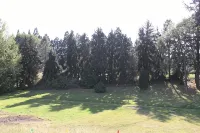 Warm & Welcoming Solar Home on Keizer Quiet Lane - Wifi