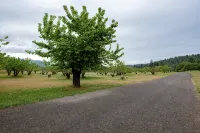 精美住宅，距胡德河6英里，配有熱水浴缸和桑拿，私人公寓！ - 5 星級