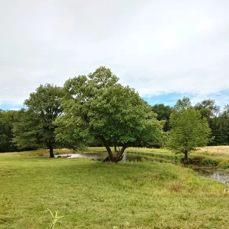 Texas Tin Star Tiny Home-Dusty Feathers Ranch. 9acres. Close to Cedar Creek Lake