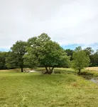 Texas Tin Star Tiny Home-Dusty Feathers Ranch. 9acres. Close to Cedar Creek Lake - 3성급