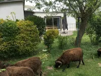 Single-storey house with private garden and terrace. ANCV, Pets allowed - Homestays