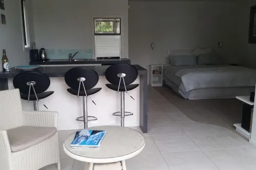 Wainui Absolute Beachfront Studio Unit - Pools
