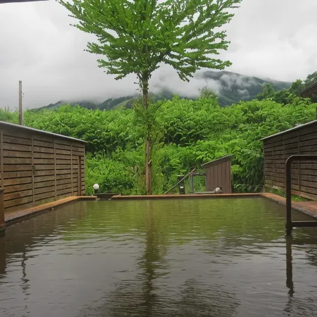 Gensen No Yado Maruishi Ryokan