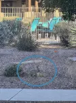 Cozy Ground Level Resort Style Condo with Heated Pool/Hot Tub, and Gym! - Wi-Fi