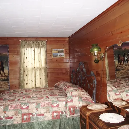 Near Mount Rushmore and all the Black Hills attractions. Located in Custer, SD Hotels in Custer