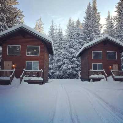 Aurora Skies Lodging - Private Cabin with Open Loft Bedroom - Sleeps 3-6 - Chalets