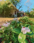 โรงแรมบุดดา รีทรีต โรงแรมใน