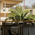 Ekodom Yanais Hotel