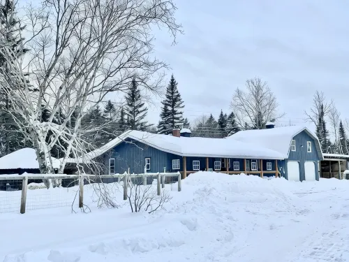 Comfort Elevated • Hot Tub • King Suite • Direct Trail Access • in Town • WiFi - Homestays