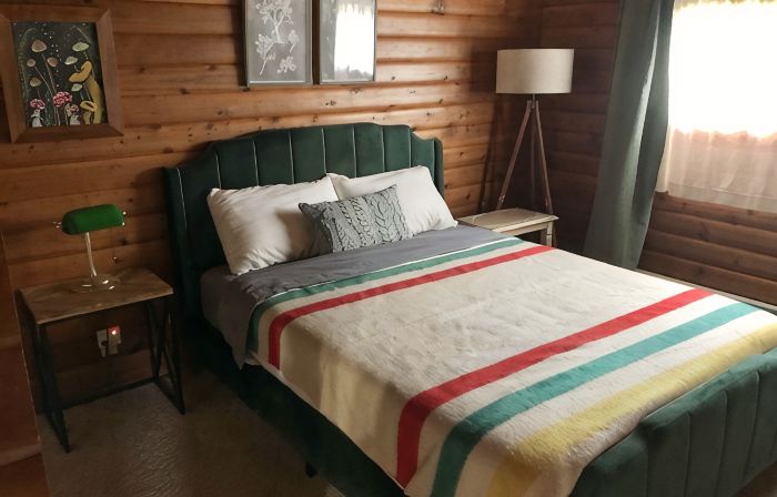 Good Vibes Cabin - Car Rental Available!