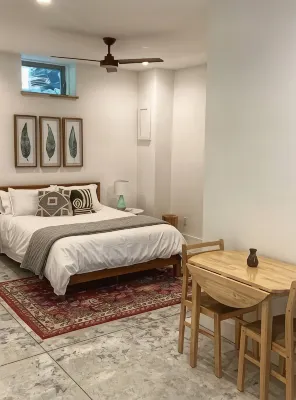 Lovely, serene studio apartment close to downtown and Biltmore Village. - Condos