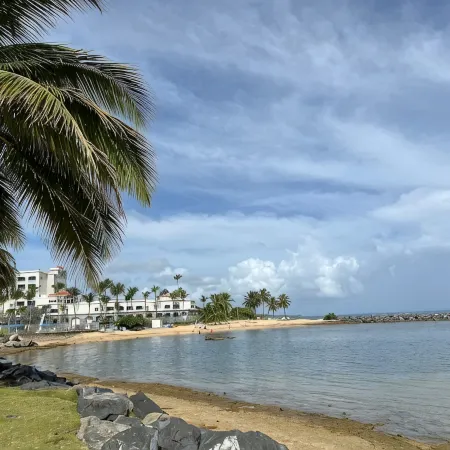 Dream Villa · Direct Beach Access · Pool · 2Br Gated · Dorado, PR