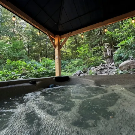 Pet Friendly, Mt Hood Cabin With Hot Tub!