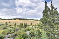 Magic Getaway in the Mountains of Fairplay, CO - Boutique
