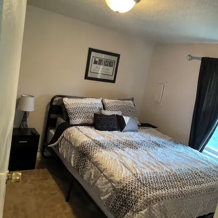 Cozy 1 Bedroom Located Downtown/Close to Soaring Eagle/CMU