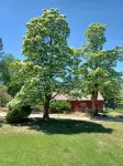 Catalpa Cottage is named after the giant Catalpa trees surrounding the cottage ~ - 부티크