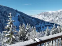 Fabulous 2 Bedroom Ski In / Out Apartment with West facing balcony Hotels near Altiport