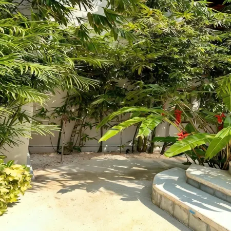 Pachamaya Holistic Wellness & Spa