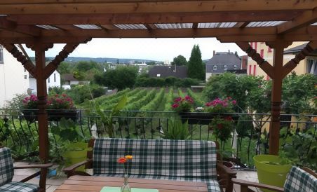 Bed and Breakfast - Rheingauer Hof - Housity