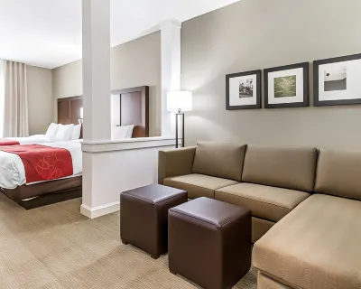 Comfort Suites West Omaha Hotels in Chicago