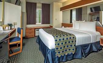 Microtel Inn & Suites by Wyndham Leesburg/Mt Dora