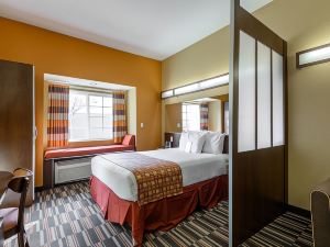 Microtel Inn & Suites by Wyndham Greenville/University Med