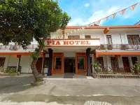 Pia Hotel Medan - parking