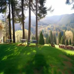 Dunsmuir Lodge فنادق في Dunsmuir