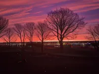 Grainbank Mews Hotels in Stromness