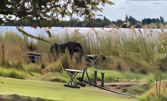 Big 5 Toro Lodge