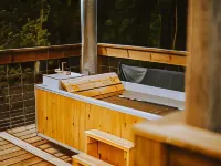 Finger Lakes Treehouse Hotels in Wayne County