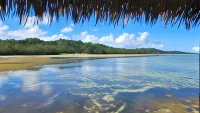 Pacific Paradise Villa Hotels in Viti Levu
