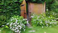 Minnesberg Bed & Breakfast Hotels near Smygehuk