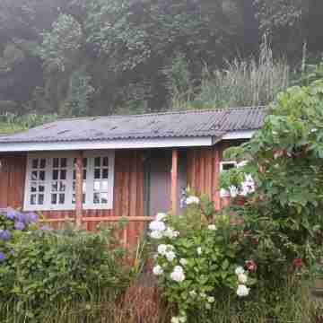 Red Panda Homestay Rooms