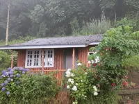 Vamoose Red Panda Hotels in 