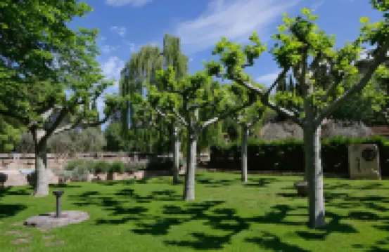 莫納斯提德樂斯阿弗蘭納斯酒店