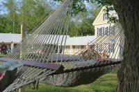 Eagle Wing Inn - Cape Cod - Wifi