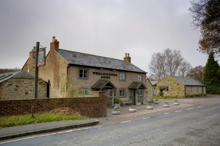 The Welldiggers Arms Отели в г. Данктон