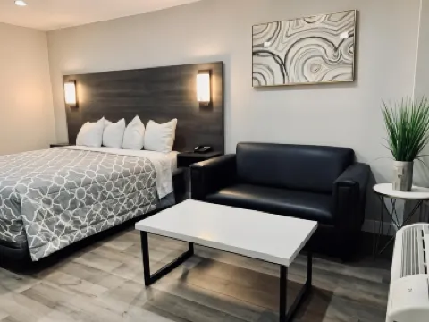 Motel Sakura Hotels in 