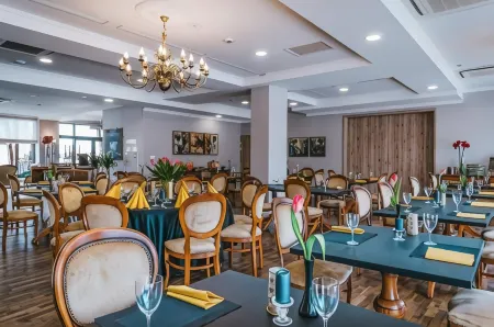 Hotel Paryski Art & Business Zakopane - Basen Jacuzzi Sauna Małpi Gaj