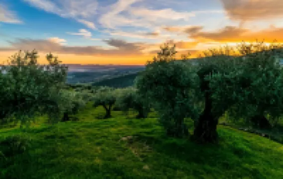 格雷多斯閣樓公寓