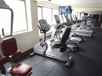 Suites del Bosque Hotel - Kuntosalit