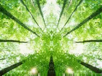 Ibis Budget Frankfurt Offenbach Sued