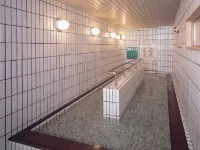 Hotel Seto Ohashi - con terme