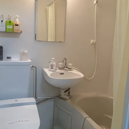 Hotel Famitic Myojin