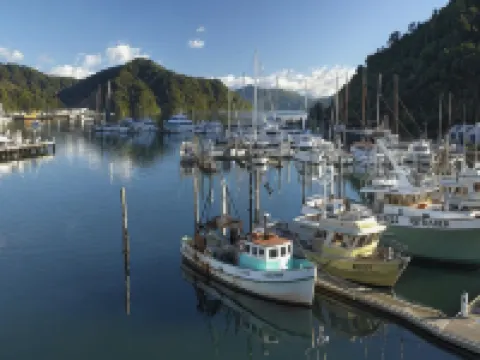 皮克頓遊艇俱樂部酒店 皮克頓酒店